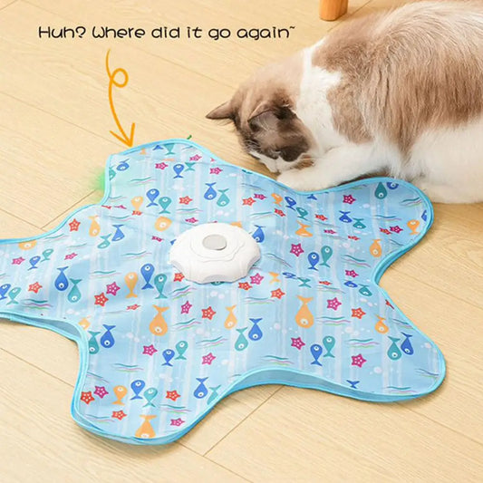Interactive Hide-and-Seek Cat Toy
