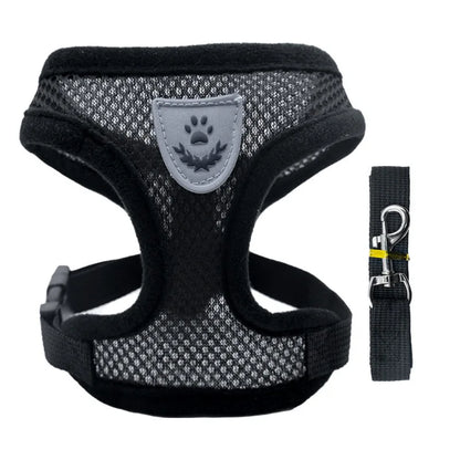 Hot summer small dog pet chest and back breathable dog chest and back suit cat outdoor traction rope child collar